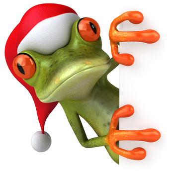 Christmas frog