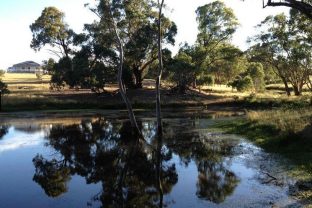 lagoon-houseview